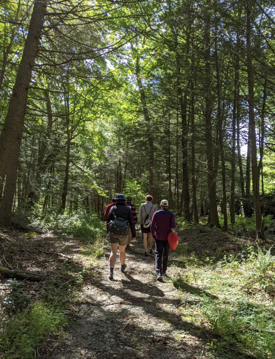 BOC members hiking a wooded trail